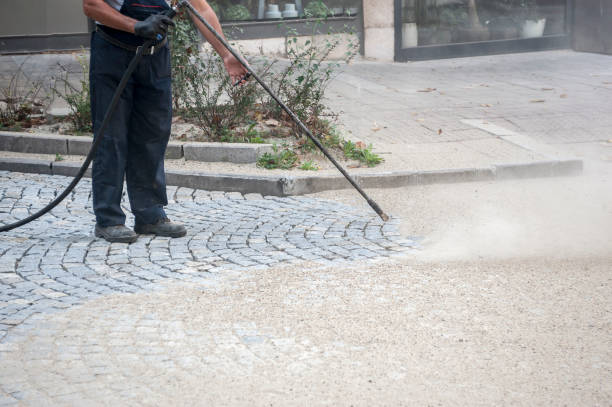 Best Animal Enclosure Cleaning  in Navy Yard City, WA